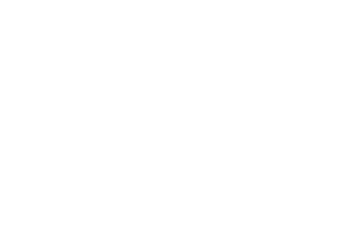 idea-cr-arq