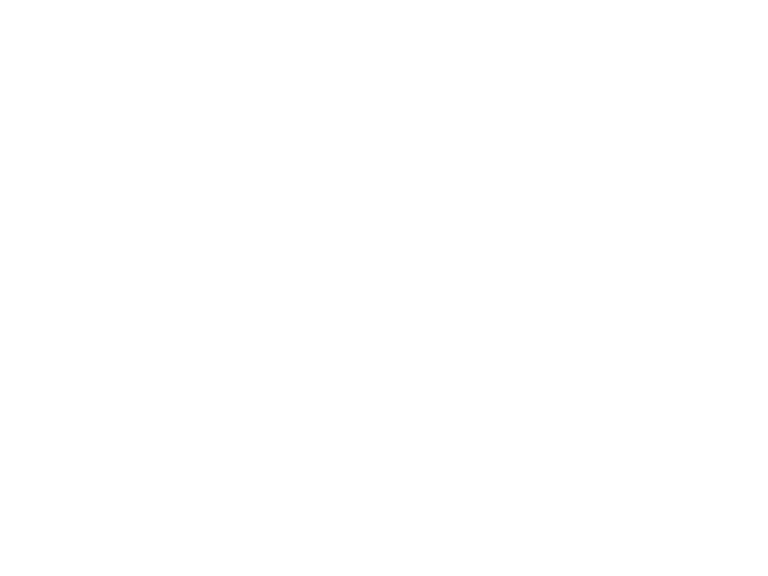 jerarquicos