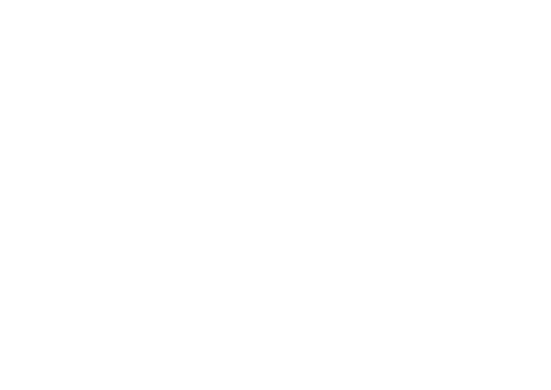 leila-dd
