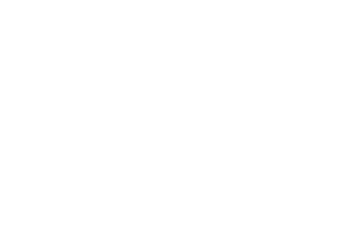 stefanini-b