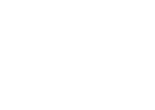 valvic-b